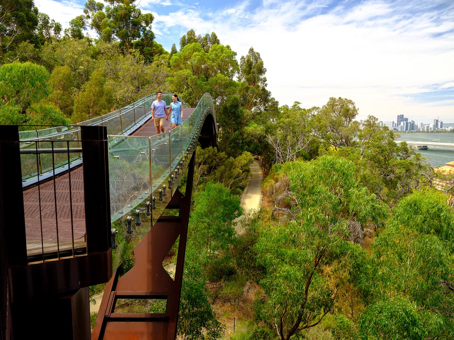 Couple enjoying the view from the Lotterywest Federation walkway at Kings Park and Botanic Garden.